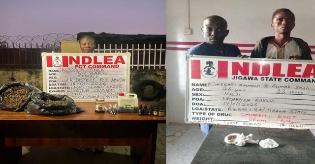 One officer injured as NDLEA nabs woman, 26-year-old ex-convict for drug dealing NDLEA