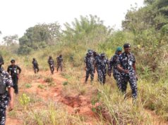 Police arrest 11 kidnappers, recover arms, N209,700 cash in Edo Police