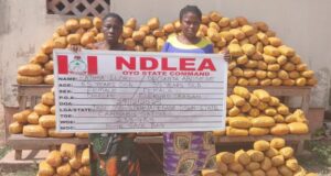 NDLEA arrests female drug kingpin in Ibadan, nabs 2 terrorist suppliers in Borno NDLEA