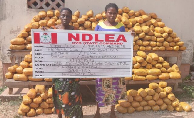 NDLEA arrests female drug kingpin in Ibadan, nabs 2 terrorist suppliers in Borno NDLEA
