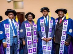 Skills over certificates crucial to $1trn economy goal — Minister