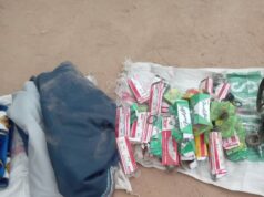 Troops foil terror ambush, recover supplies in Borno