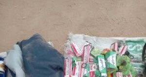 Troops foil terror ambush, recover supplies in Borno