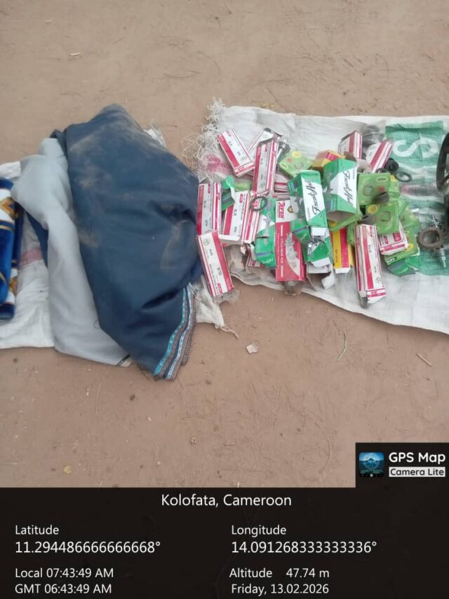 Troops foil terror ambush, recover supplies in Borno