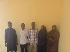 Troops intercept suspects carrying N37m cash in Borno