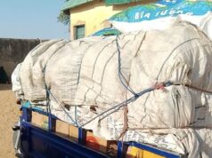 Troops arrest two suspected Boko Haram logistics suppliers in Yobe