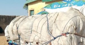 Troops arrest two suspected Boko Haram logistics suppliers in Yobe