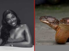 Singer Ifunanya Nwangene buried in Enugu after tragic snakebite death