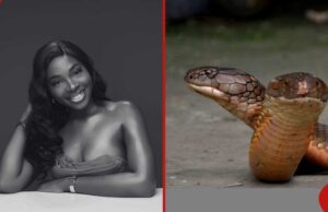 Singer Ifunanya Nwangene buried in Enugu after tragic snakebite death