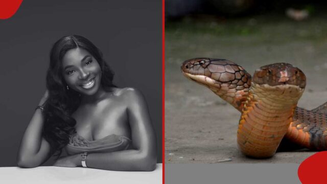 Singer Ifunanya Nwangene buried in Enugu after tragic snakebite death