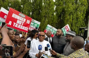 Why I attended N’Assembly protest with my son — Amaechi