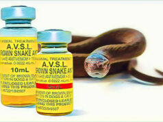 Nigeria records 43,000 snakebites annually amid severe antivenom shortage