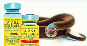 Nigeria records 43,000 snakebites annually amid severe antivenom shortage