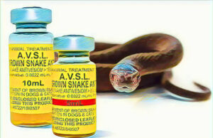 Nigeria records 43,000 snakebites annually amid severe antivenom shortage