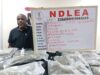 NDLEA nabs real estate CEO for drug dealing in Lagos NDLEA