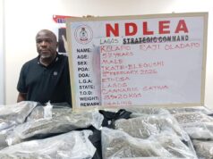 NDLEA nabs real estate CEO for drug dealing in Lagos NDLEA