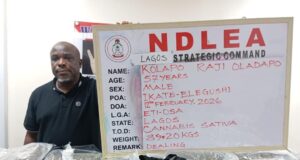 NDLEA nabs real estate CEO for drug dealing in Lagos NDLEA