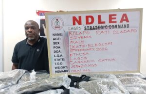 NDLEA nabs real estate CEO for drug dealing in Lagos NDLEA