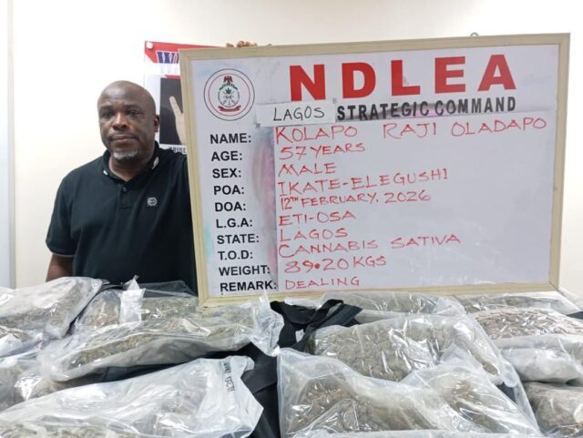 NDLEA nabs real estate CEO for drug dealing in Lagos NDLEA