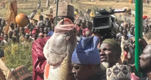 Argungu Fishing Festival’s biggest catch weighs 59kg