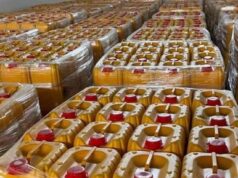 Mother, daughter bag 6 months imprisonment for stealing litres of oil