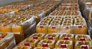 Mother, daughter bag 6 months imprisonment for stealing litres of oil
