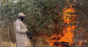 Troops exploit airstrike site in Borno