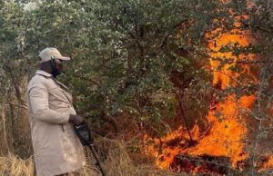 Troops exploit airstrike site in Borno