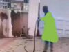 Woman accuses Abuja fumigation firm of planting snakes to extort homeowners