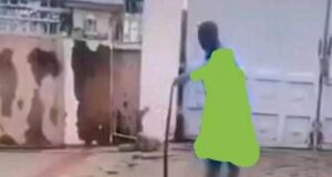 Woman accuses Abuja fumigation firm of planting snakes to extort homeowners