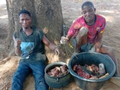 Troops neutralise bandit, arrest suspects in Benue, Nasarawa