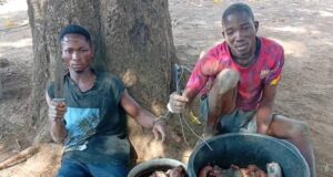 Troops neutralise bandit, arrest suspects in Benue, Nasarawa