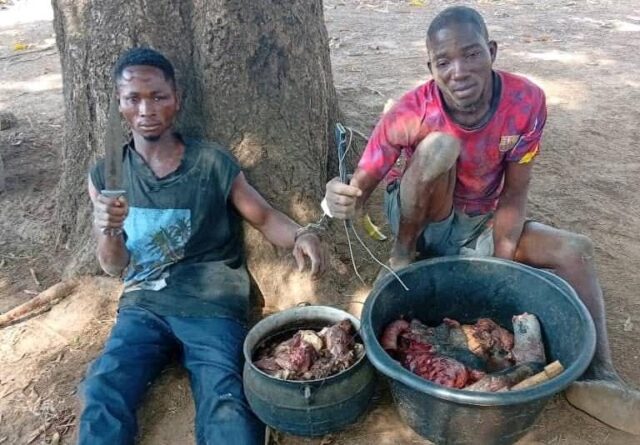 Troops neutralise bandit, arrest suspects in Benue, Nasarawa