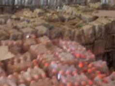 NAFDAC seals 18 warehouses in Niger over expired products