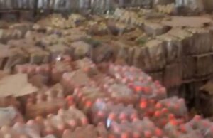 NAFDAC seals 18 warehouses in Niger over expired products