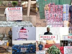 NDLEA seizes meth hidden in yogurt, speakers, busts cannabis factory