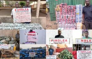 NDLEA seizes meth hidden in yogurt, speakers, busts cannabis factory