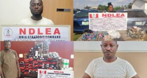 NDLEA busts prison-led cocaine export plot, uncovers ‘Colos’ factory in Lekki