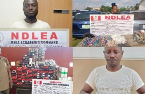 NDLEA busts prison-led cocaine export plot, uncovers ‘Colos’ factory in Lekki