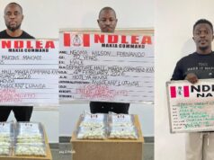 NDLEA arrests China-based businessman, two Angolans with 236 cocaine pellets at Abuja, Kano airports