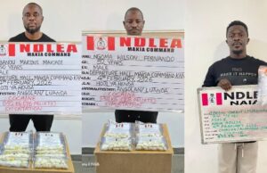 NDLEA arrests China-based businessman, two Angolans with 236 cocaine pellets at Abuja, Kano airports