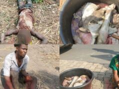 Troops bust cow rustling ring fueling Benue killings