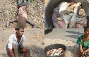 Troops bust cow rustling ring fueling Benue killings