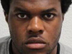 Teenager who fled to Nigeria after stabbing in London bags life imprisonment Nigeria
