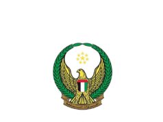 UAE air defences repel 165 ballistic missiles