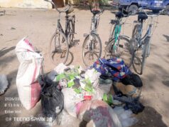 Troops repel terrorists, recover bicycles in Marte–Dikwa axis