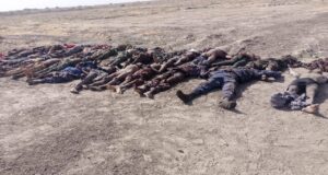 Malam Fatori attack: ISWAP death toll rises to 75