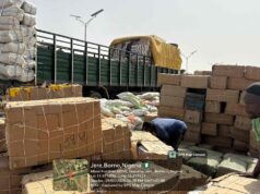 Troops intercept vehicle conveying terrorist logistics in Borno