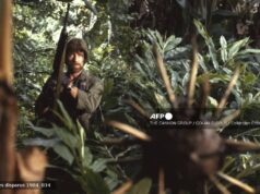 Hollywood star Chuck Norris dies at 86