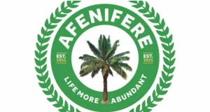Terrorists now demand drugs, virgins for hostages — Afenifere